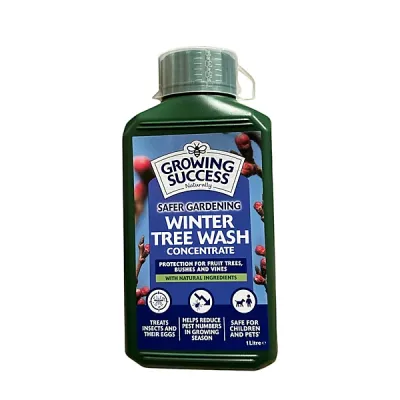 Winter Tree Wash