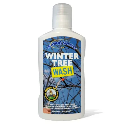 Winter Tree Wash