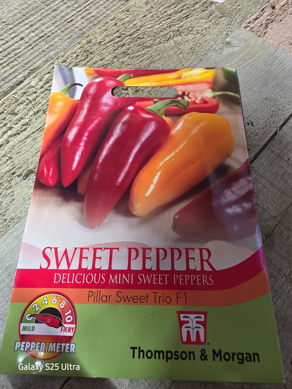 Sweet Pepper- Pillar Sweet Trio F1