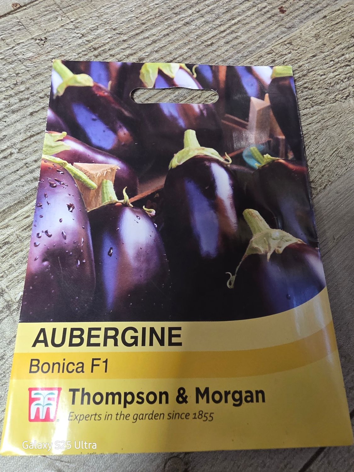 Aubergine- Bonica F1