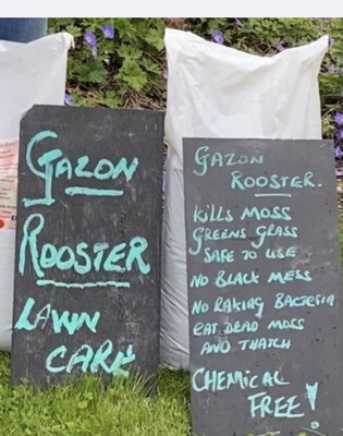 25kg Gazon Rooster - ! Gazon Rooster Lawn Fertiliser & Moss Remover Treats 250m^2.FEEDS GREENS AND THICKENS OVER 120 Days Bacteria Eats Out moss and thatch
