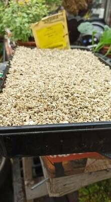 Vermiculite - €1.90 per Litre essential for seed sowing