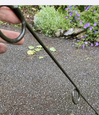 1x. 2 Ring Pig Tail Pigtail Floppie - Easy Plant Support ,for perennials,hydrangeas,roses etc