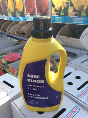 Sure Bloom Surebloom