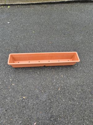 100cm Window Box