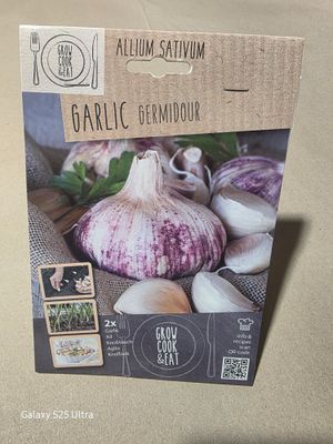 2 Garlic Bulbs - Pink (Germidour)