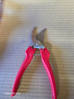 Felco Secateurs