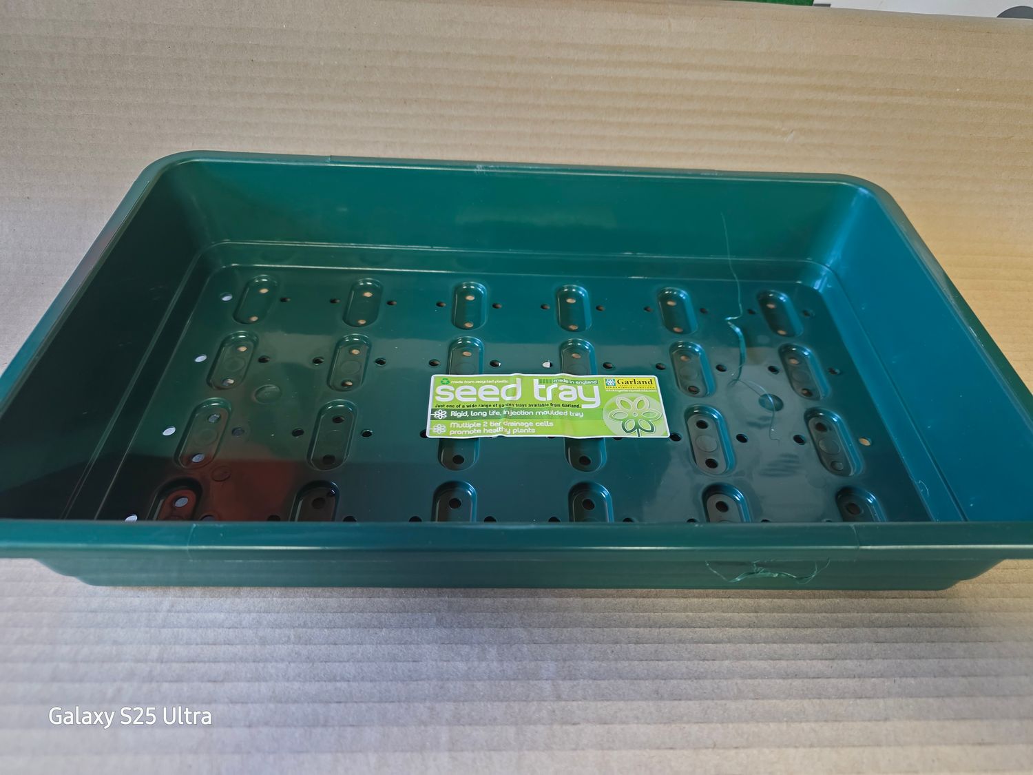 Green Large Seed tray