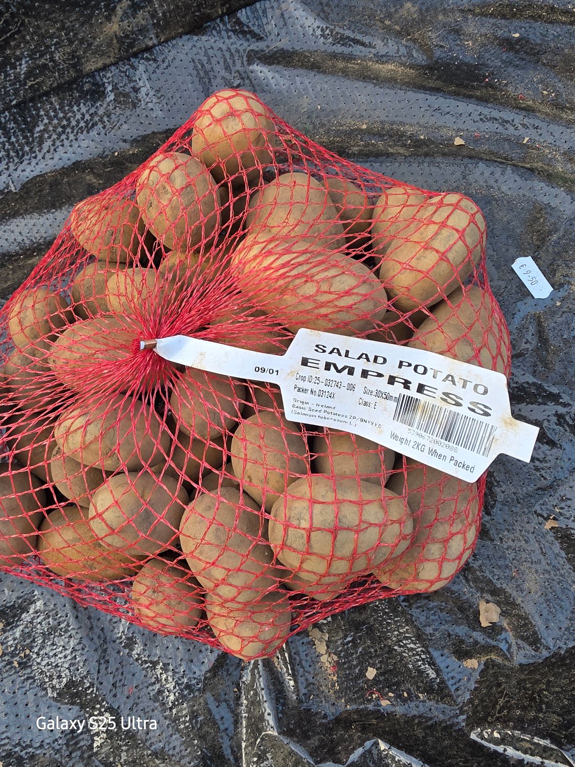 Salad Potato EMPRESS