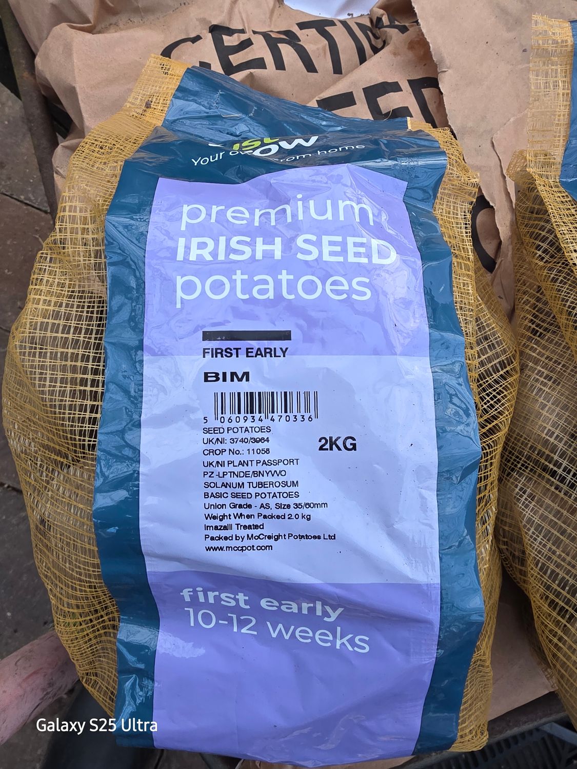 Seed potatoes "Bim"