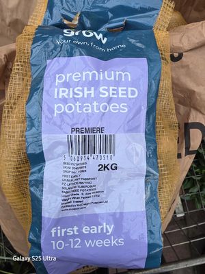Seed potatoes " Premiere"