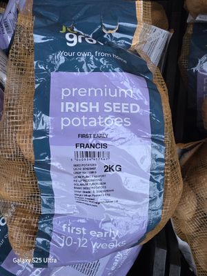 Seed potatoes "Francis "