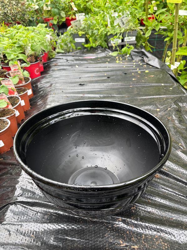 Olive Bowl 30cm Black