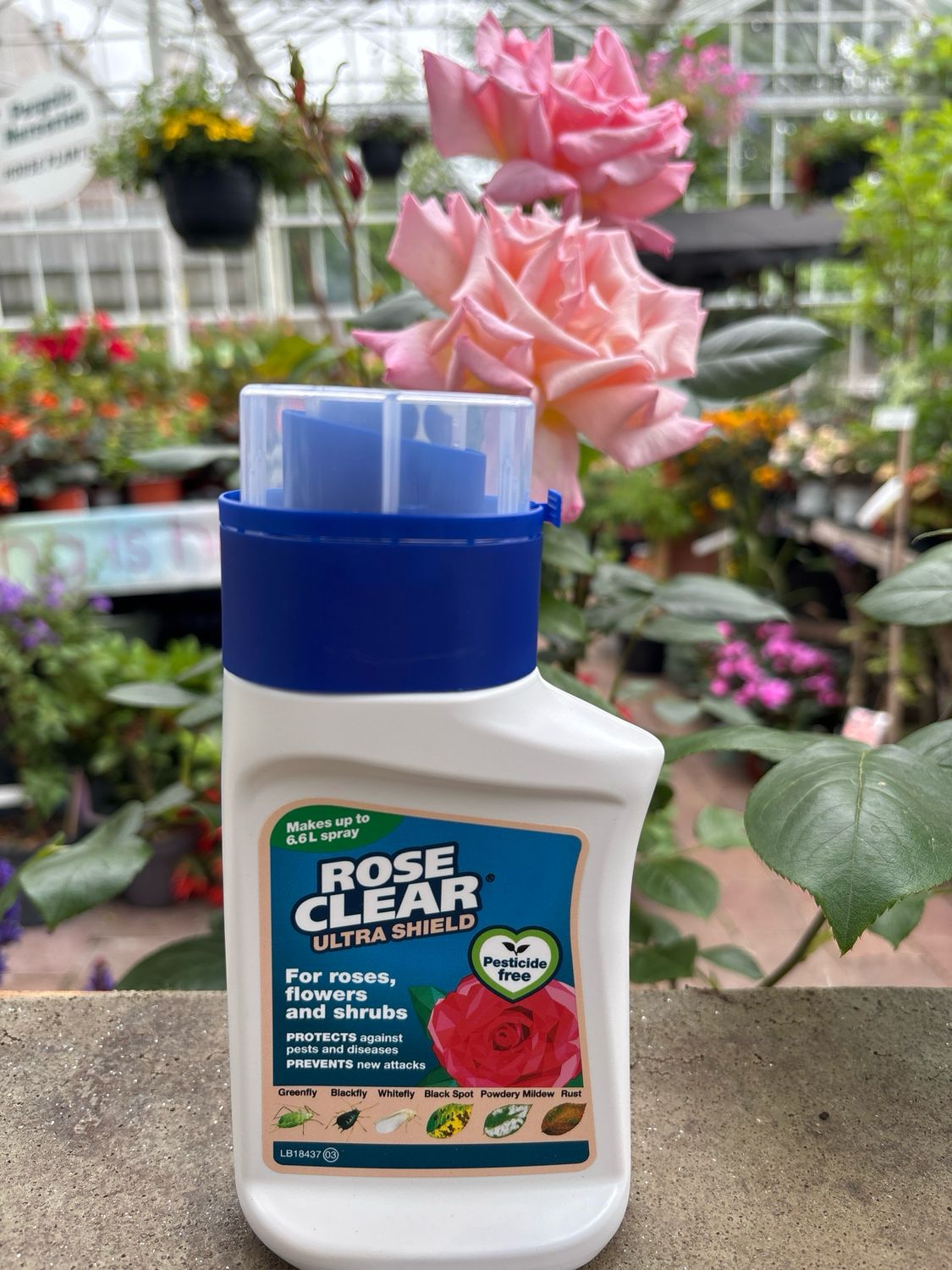 Roseclear Ultra Shield Concentrate