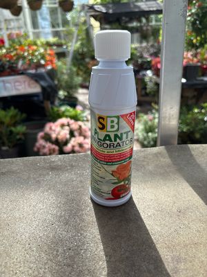 SB Invigorator Concentrate 250 ml