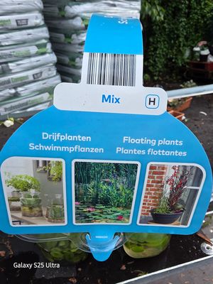 Floating plants 6pack