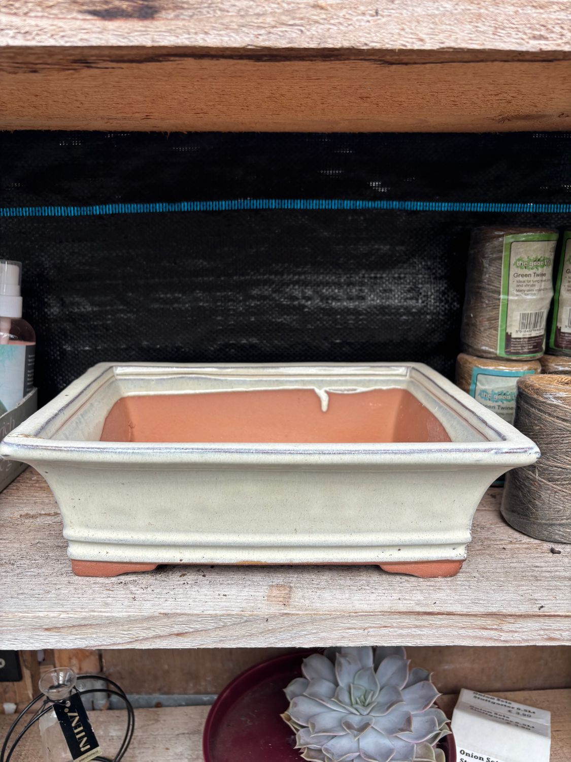 Bonsai Pot