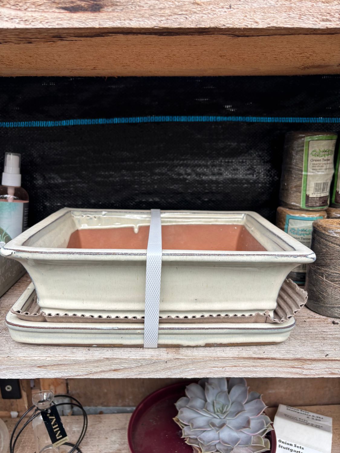 Bonsai Pot and Saucer