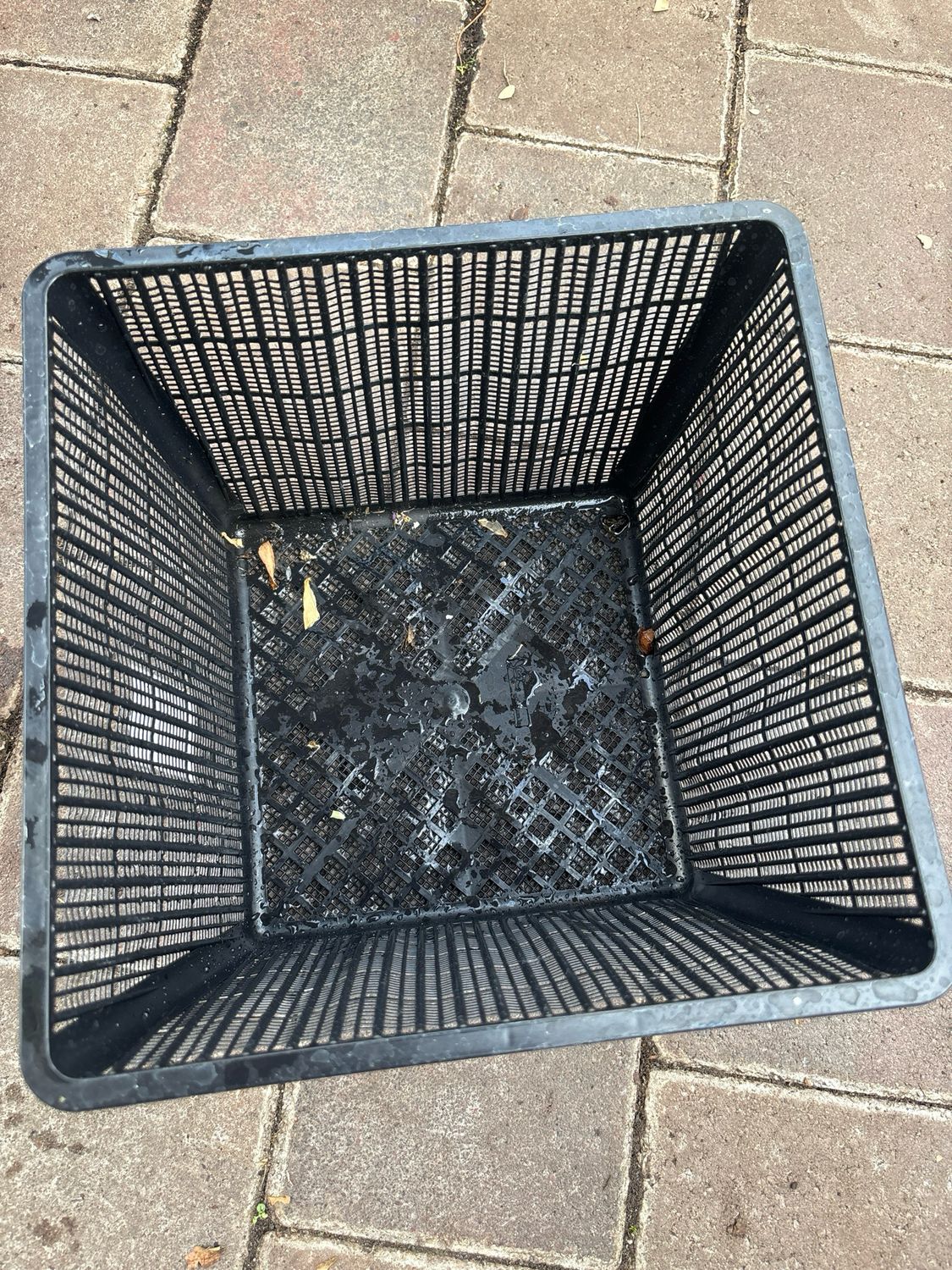 Square Aquatic Basket 30x30x20