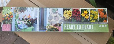 Ready To Plant ''Tulip &amp; Crocus mix''