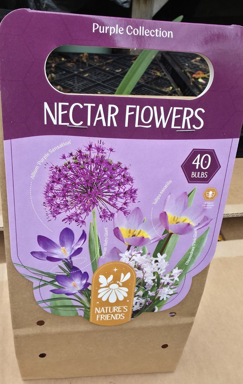 Nectar Flowers ''Purple Collection''