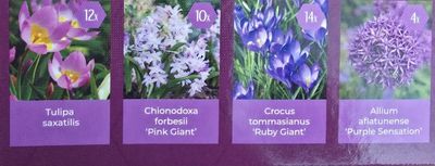 Nectar Flowers ''Purple Collection''