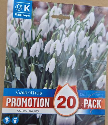 20 Snowdrops