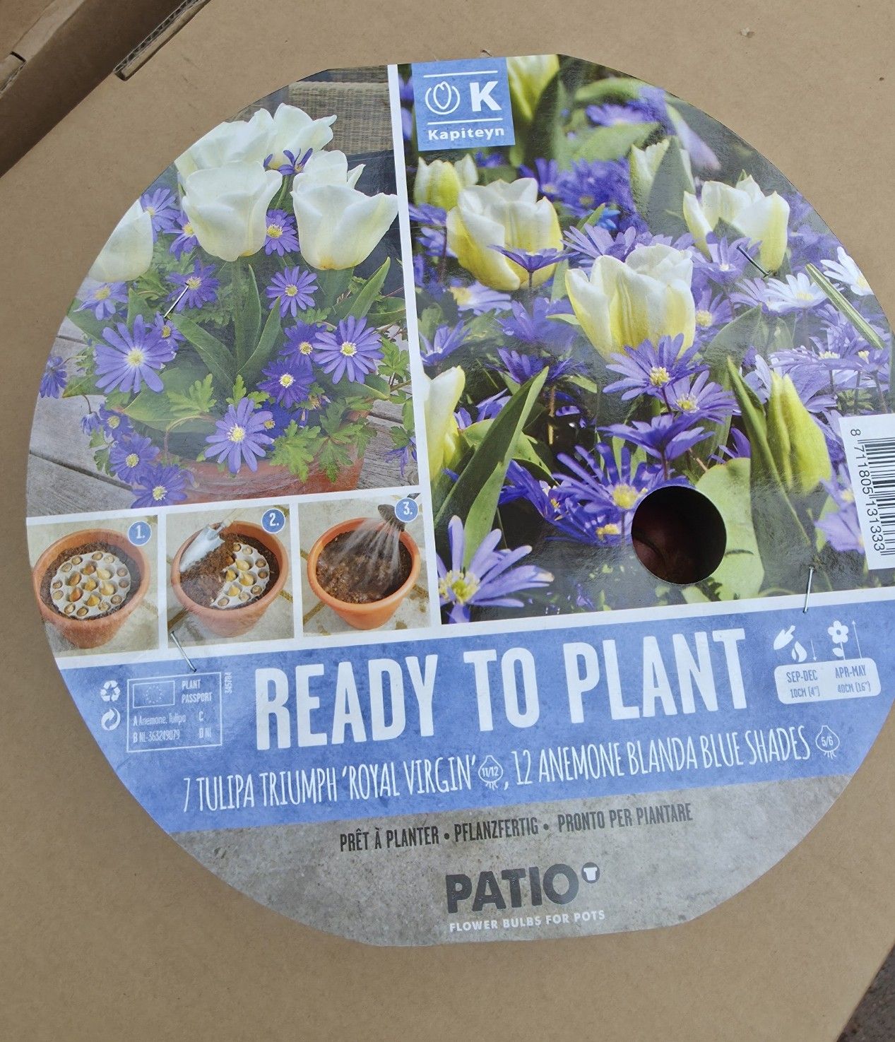 Ready To Plant ''Tulip &amp; Anemone''