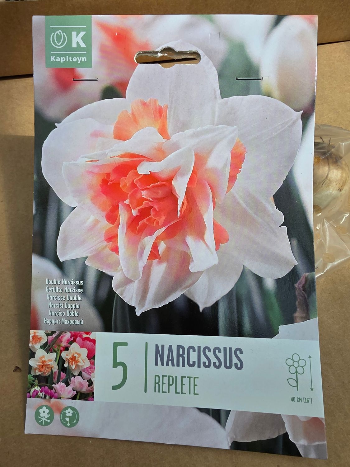 5 Daffodil /Narcissus ''Replete''