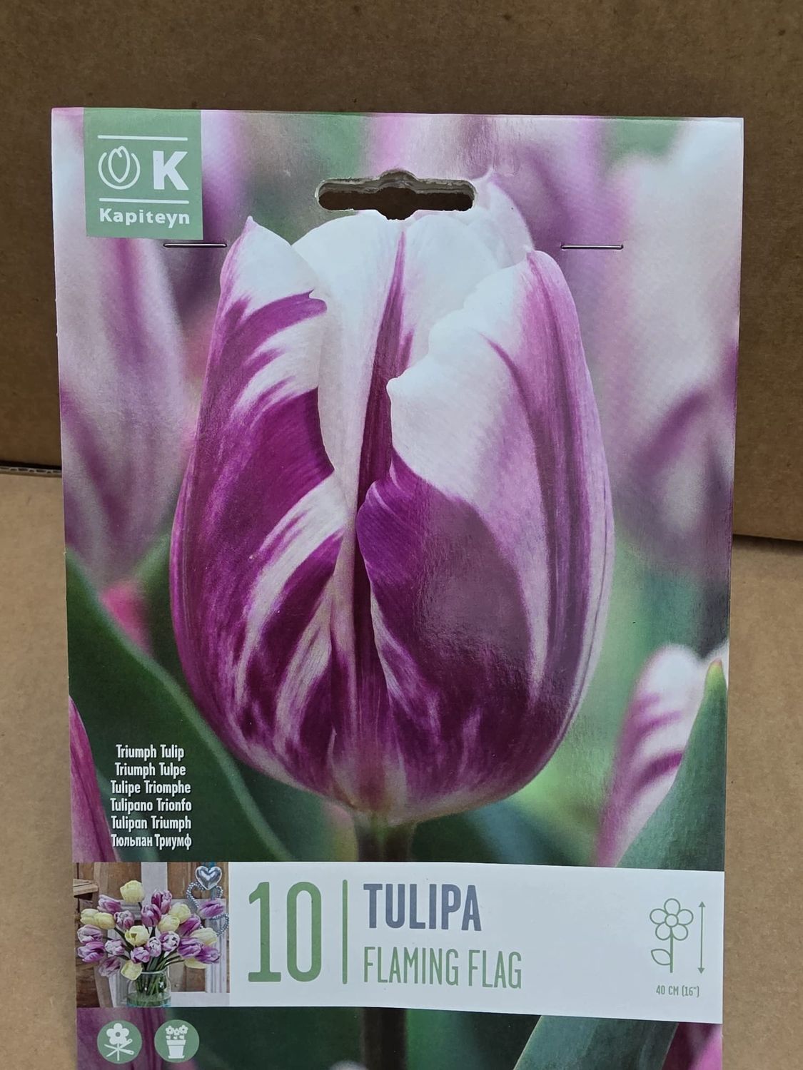 10 Tulip Flaming Flag