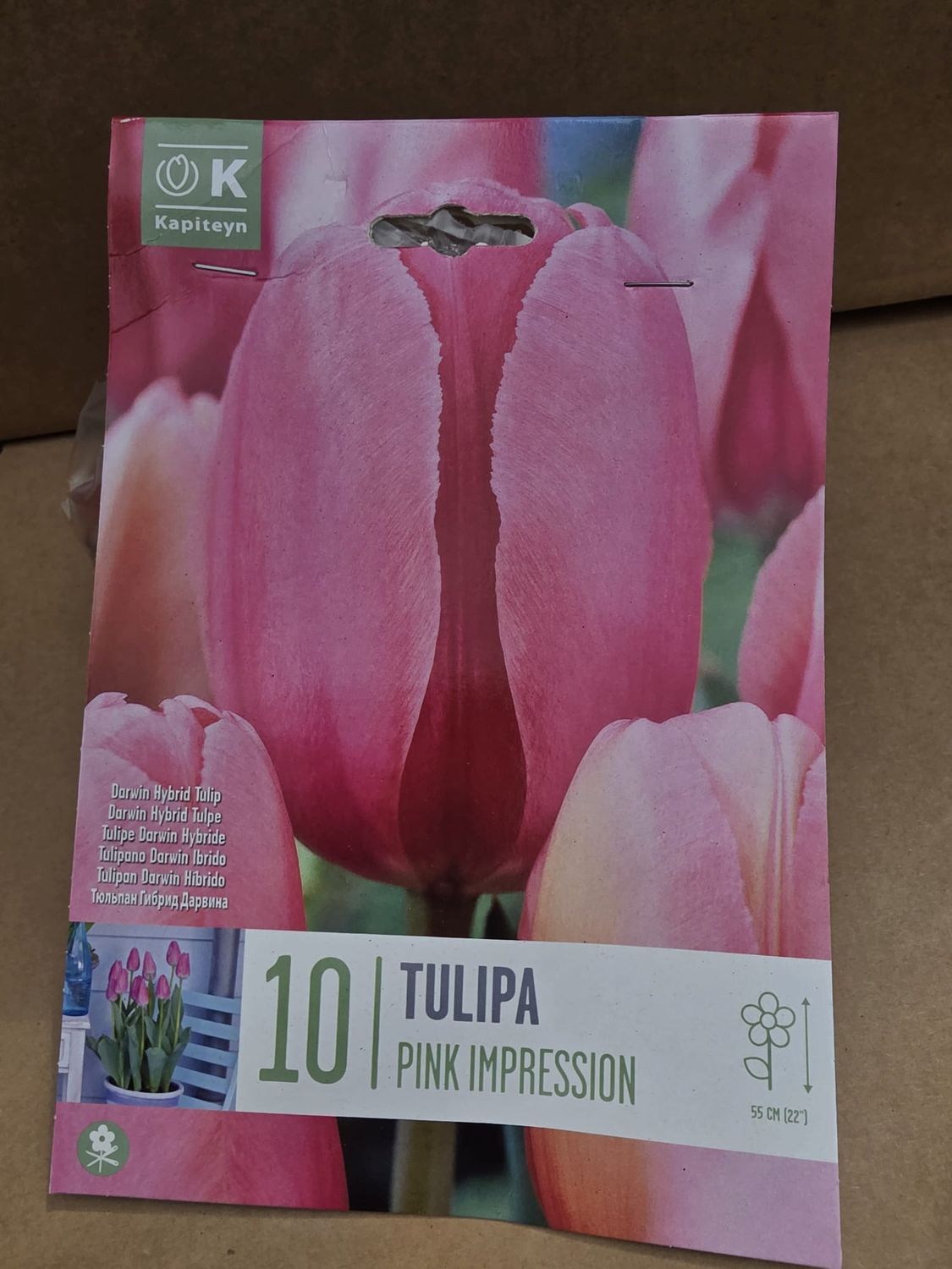 10 Tulip Pink Impression