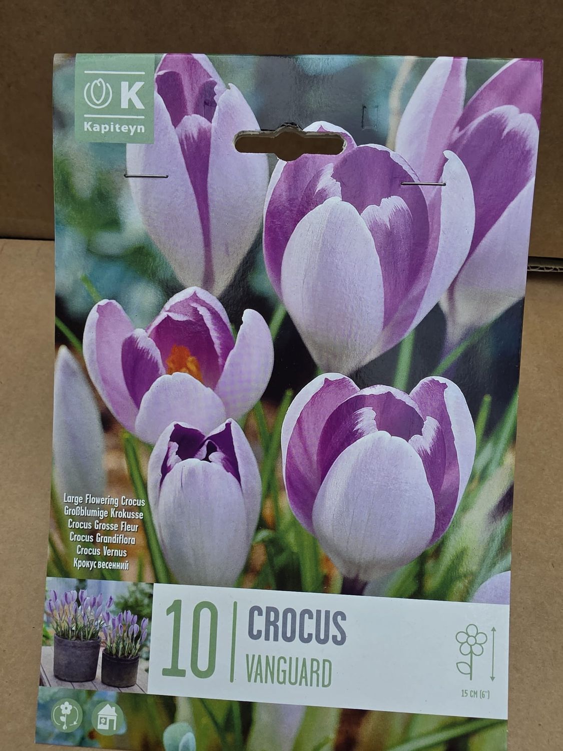 10 Crocus Vanguard