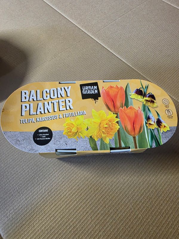 Blacony Planter ''Tulip,Narcissus &amp; Fritillaria'' plus pot and compost