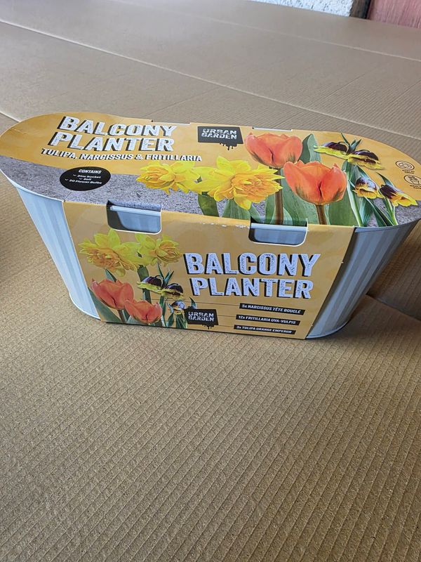 Blacony Planter ''Tulip,Narcissus &amp; Fritillaria'' plus pot and compost