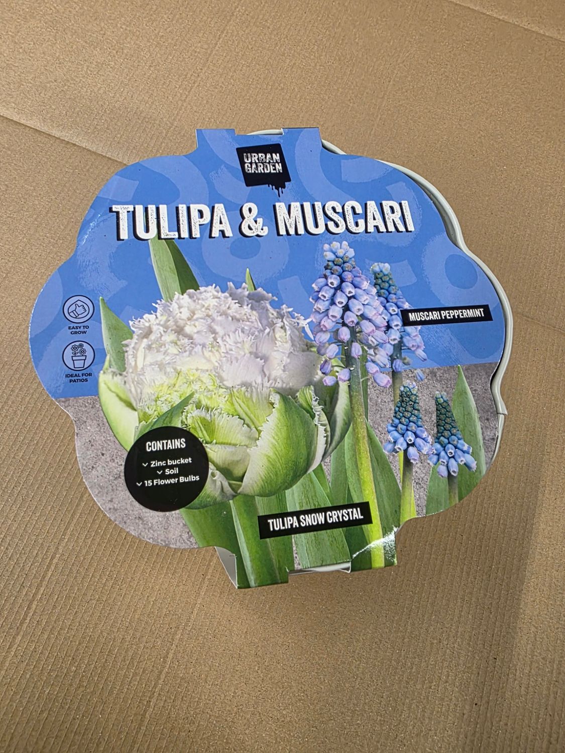 Layer Planter Kit- ''Tulip &amp; Muscari''