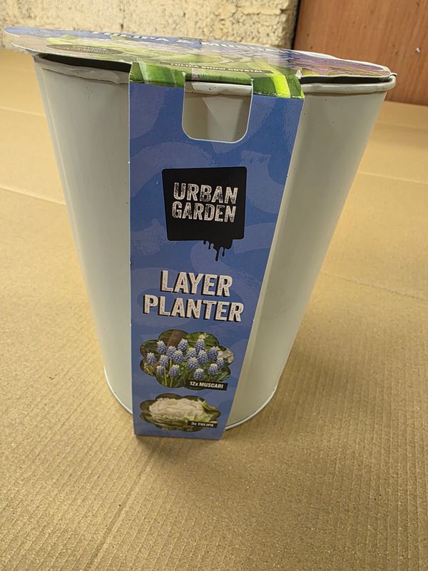 Layer Planter Kit- ''Tulip &amp; Muscari''