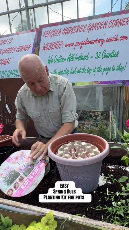 Ready to Plant pot ''Crocus&amp; Tulip''