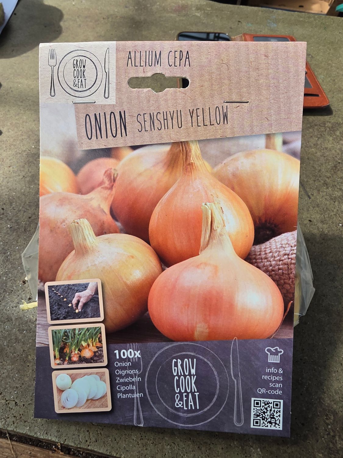 Winter Onion sets "Senshyu yellow"