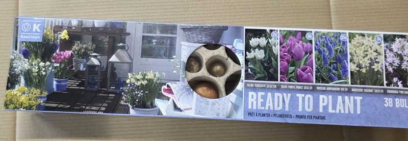Ready to Plant window box