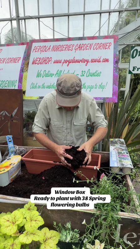 Ready to Plant window box