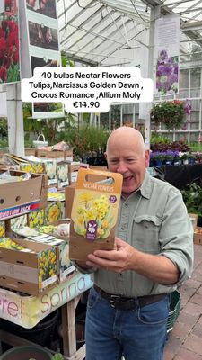 Nectar Flowers "Yellow Collection " 40 bulbs Nectar Flowers Tulips,Narcissus Golden Dawn , Crocus Romance ,Allium Moly