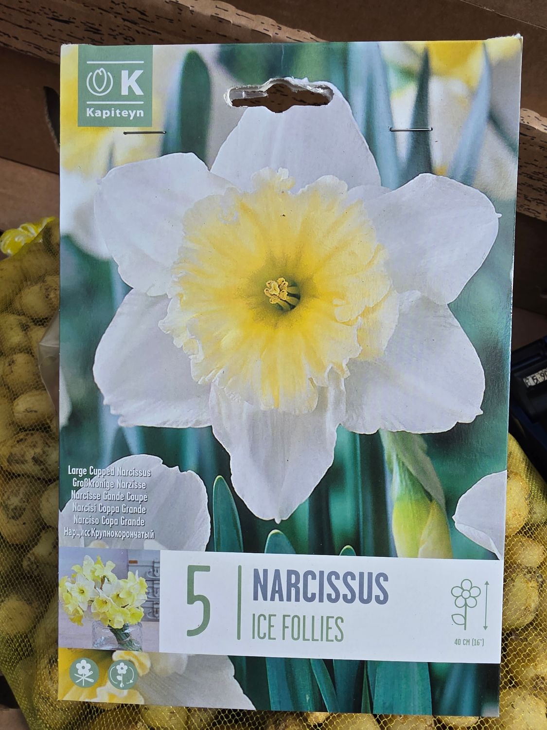 5 Narcissus "Ice Follies"