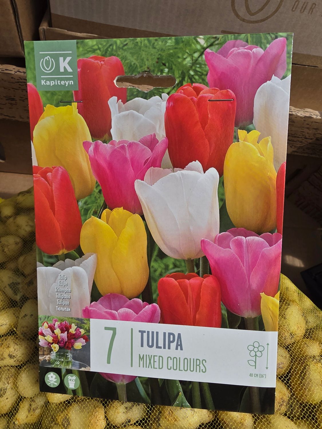 7 Tulip mix colours