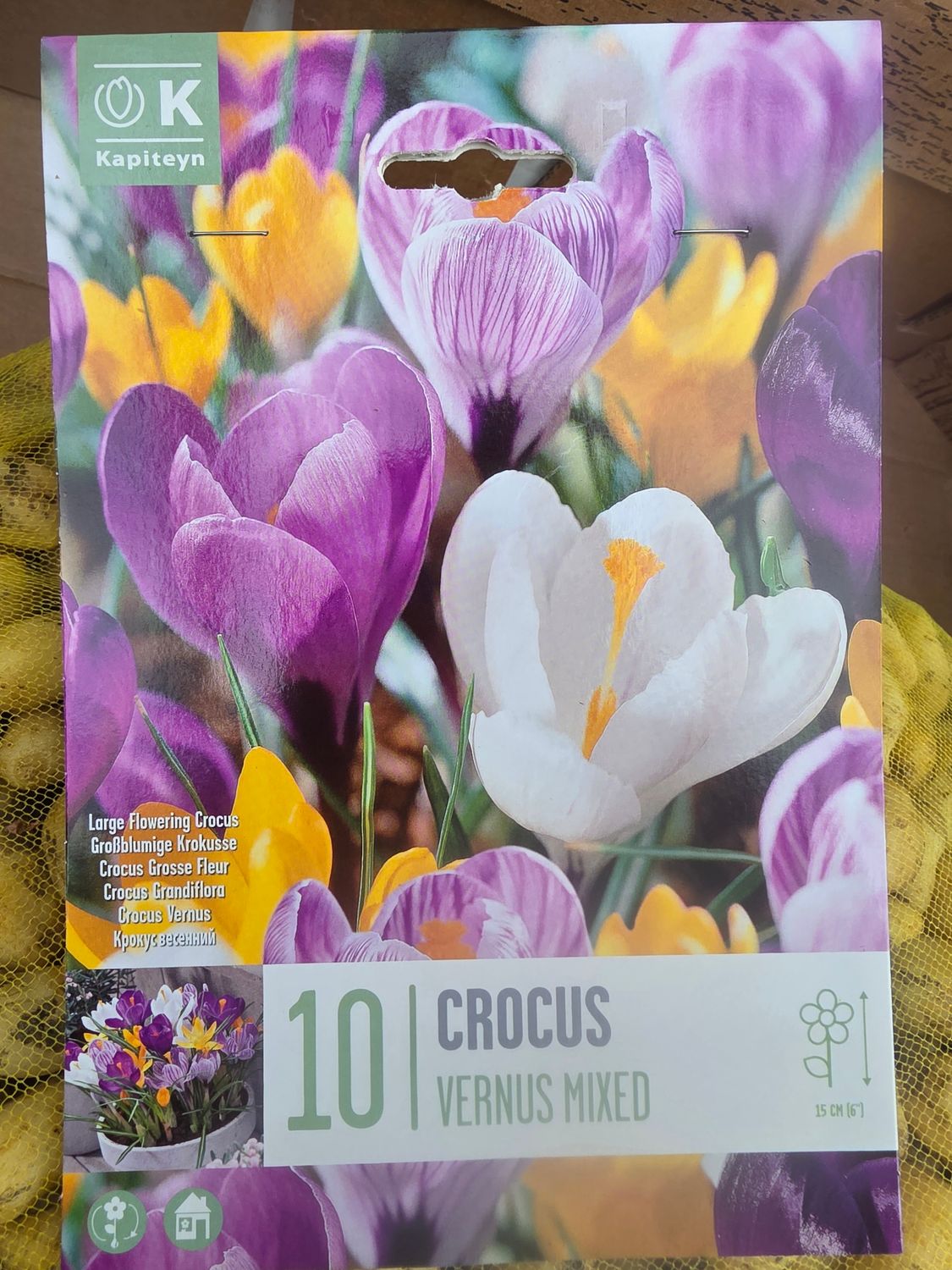10 crocus vernus mixed