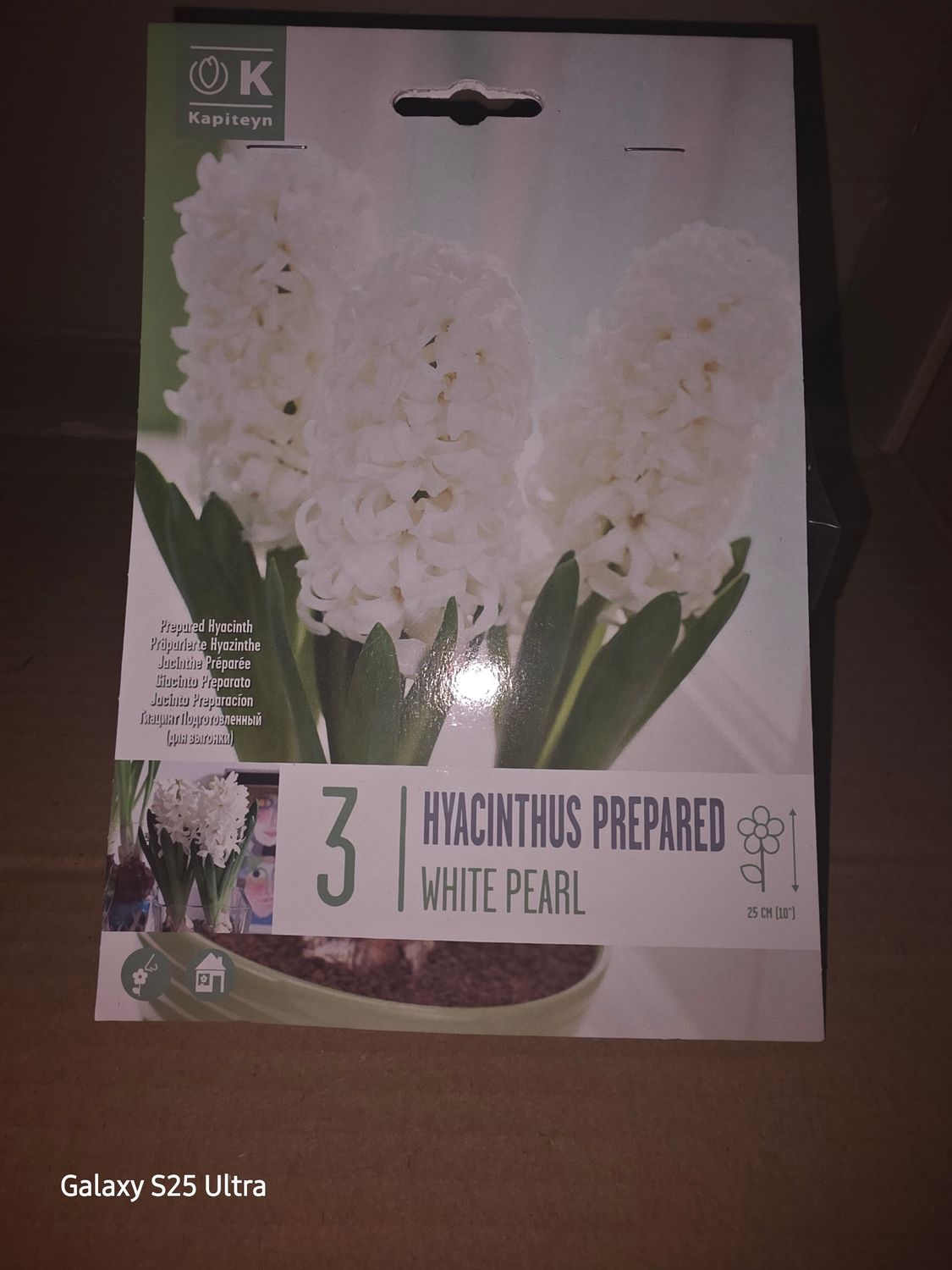 3 Hyacinthus ''White Pearl''
