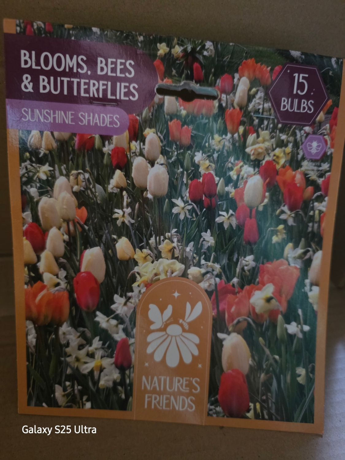 Blooms,Bees&amp;Butterflies ''Sunshine Shades''  15 bulbs