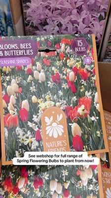 Blooms,Bees&amp;Butterflies ''Sunshine Shades''  15 bulbs
