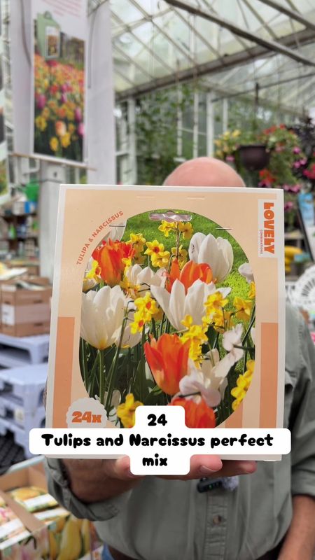 24x Tulip &amp; Narcissus mix Tulips and Daffodils Perfect Mix