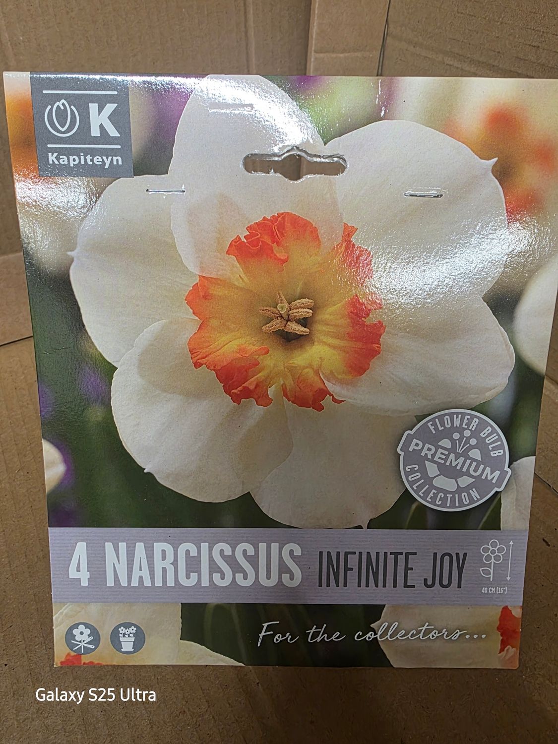4 Narcissus -''Infinite Joy''