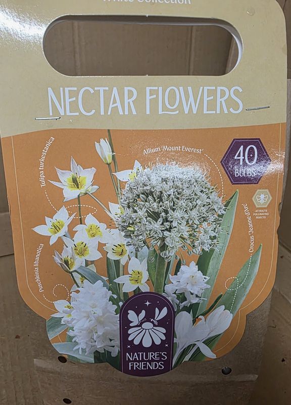 Nectar Flowers -White Collection